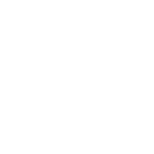 Fondo blanco vacío.